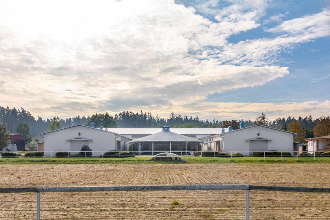 Farma Slunecny Dvur Apartmany A Family Stany Strecha Pod Strechou Hermanuv Mestec Exterior foto